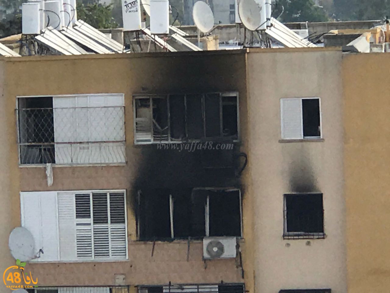 jotha zakaa (12).jpg